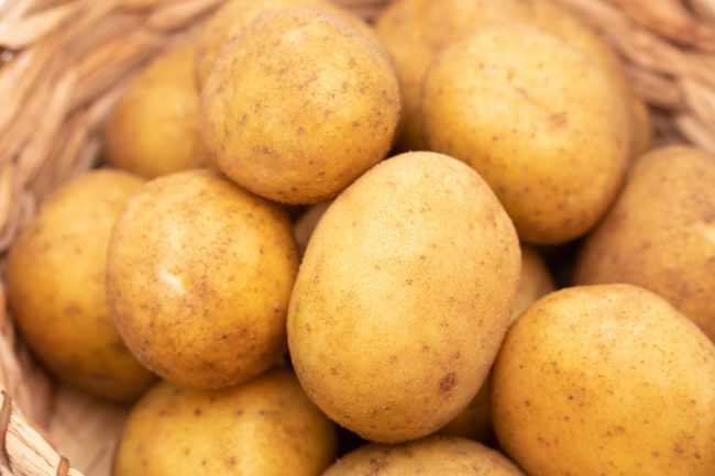 Kartoffel Belana